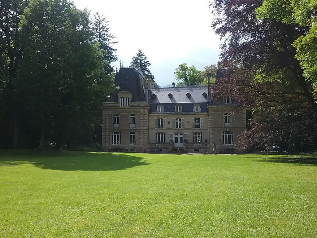 Chateau De La Raffe Naix-aux-Forges Екстериор снимка